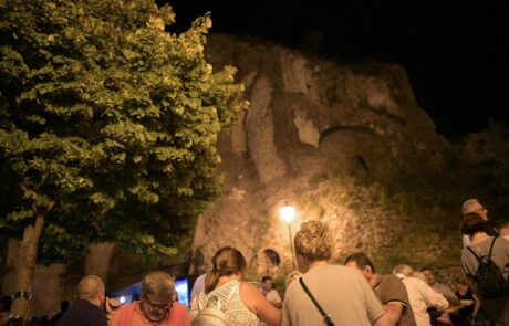 Pastorizia in Festival
