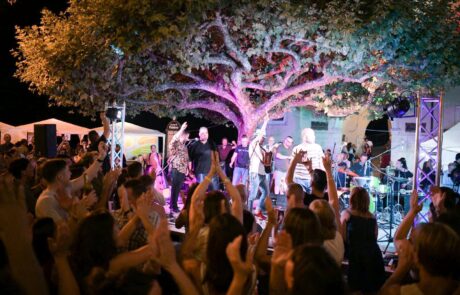 Pastorizia in Festival