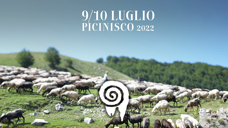 Pastorizia-in-Festival-800×450